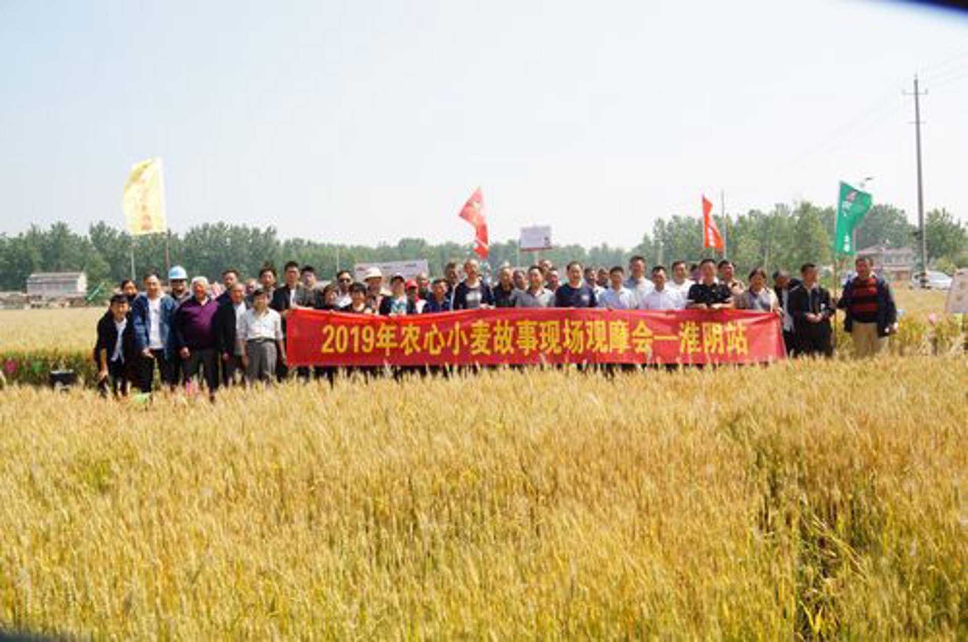李新会粮食收购